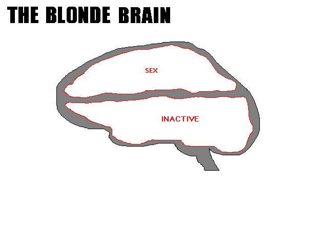 What do you call a blonde with a brain? - wide 4