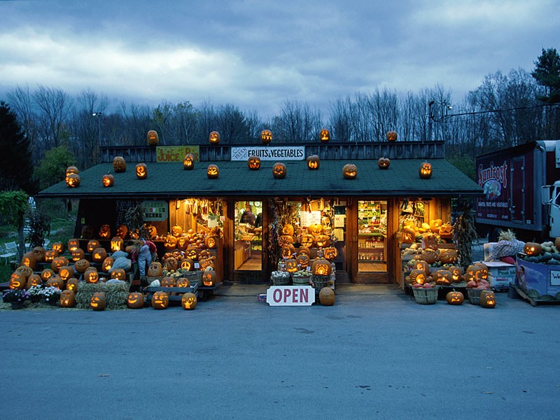 Happy Fall!